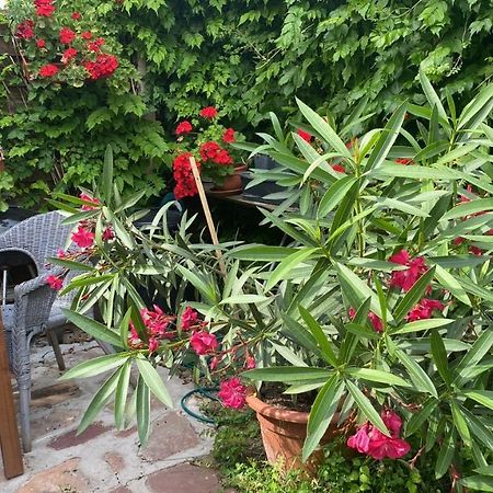 Golyashaz Apartman Kovagoors Zewnętrze zdjęcie